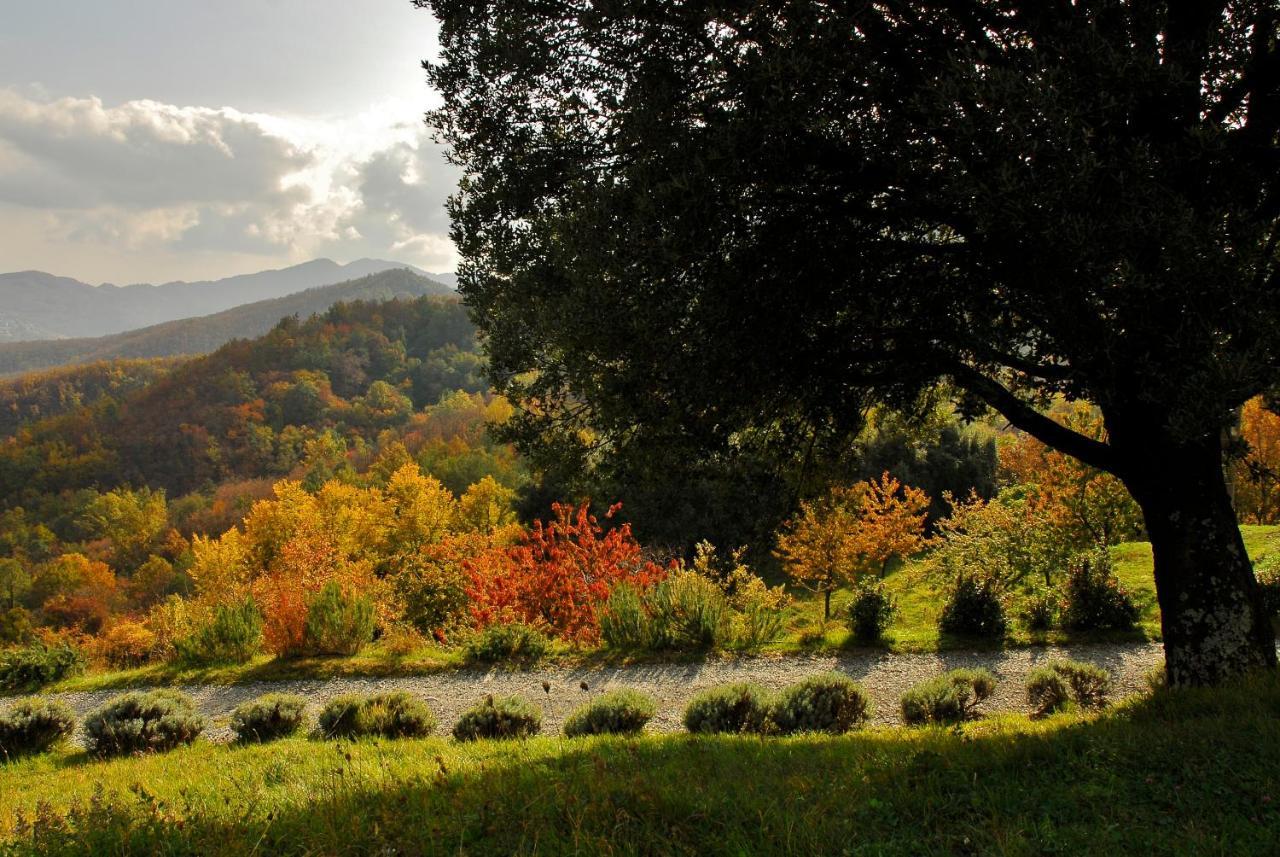 Agriturismo Giandriale Tavarone Экстерьер фото