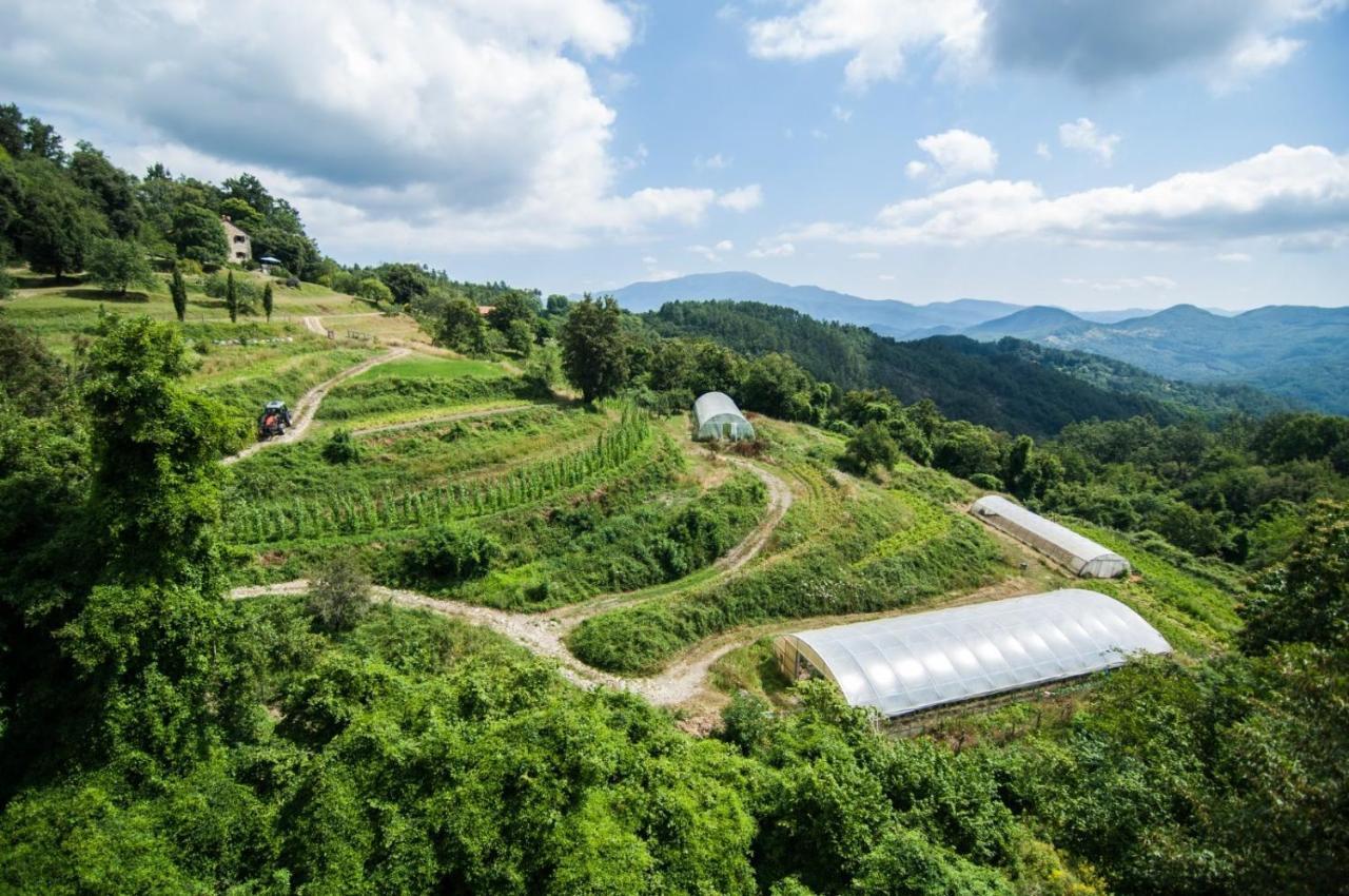Agriturismo Giandriale Tavarone Экстерьер фото