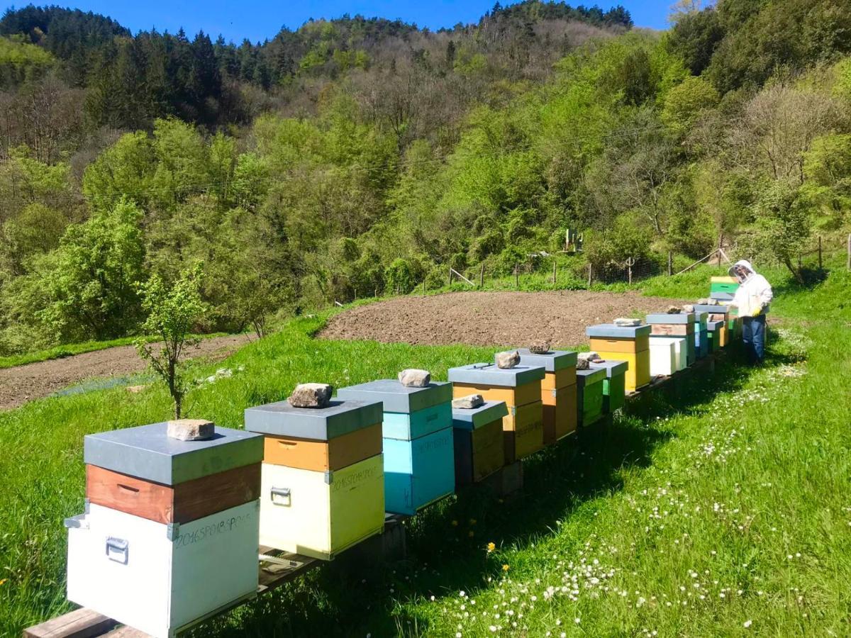 Agriturismo Giandriale Tavarone Экстерьер фото