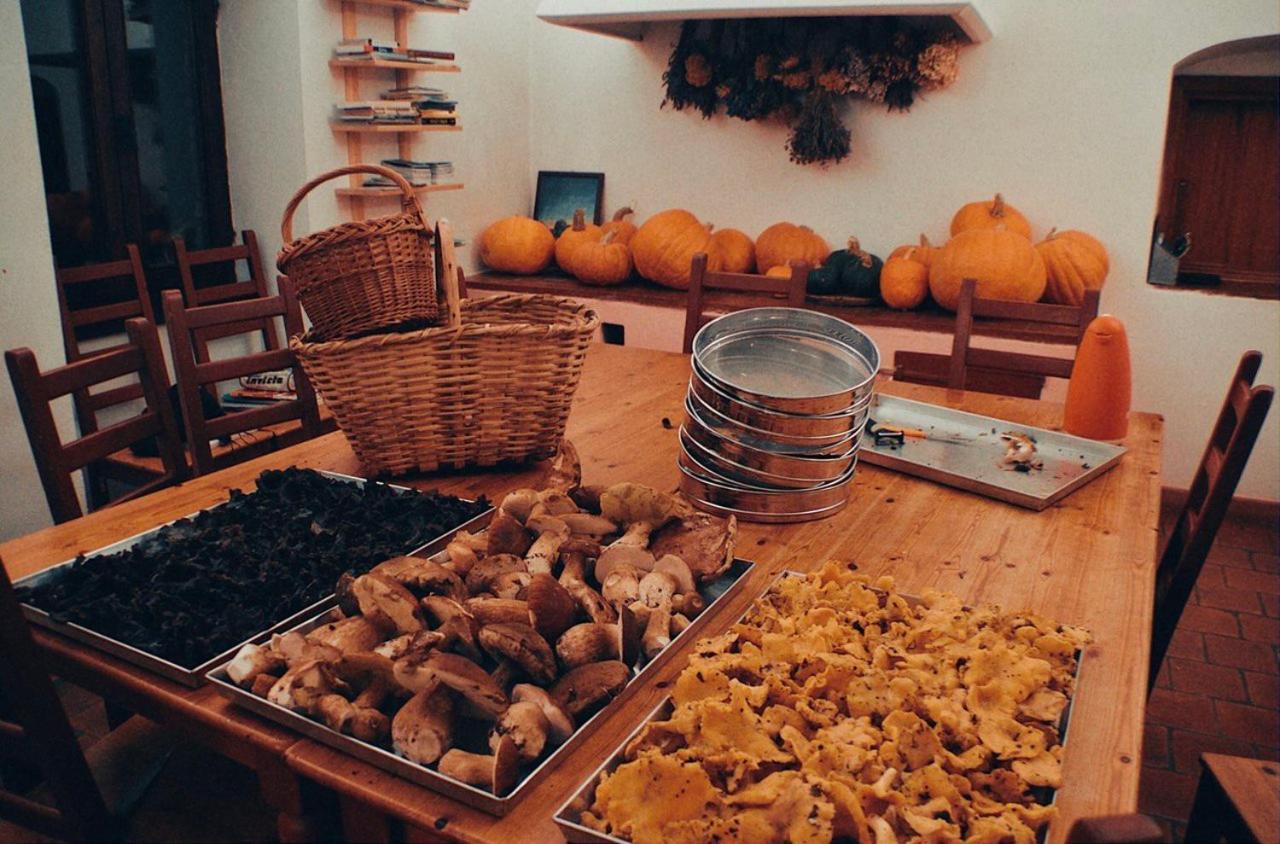 Agriturismo Giandriale Tavarone Экстерьер фото